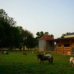 Route 66 - Yoder's Farmstead · Yoder's Farmstead