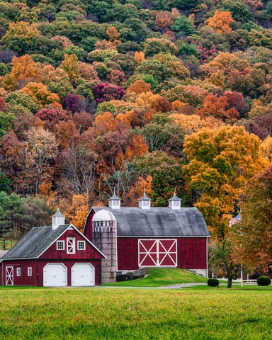 Red barn at the foot of a hillside covered in autumn foliage
