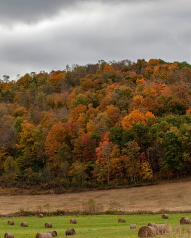 Ohio farm country with hay bales across a field and autumn hillside