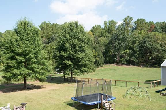 Wren's Nest - Image 4